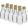 Sticlă Galon 40ml cu capac - 10 buc. ['Galon', ' sticlă galon', ' sticlă pentru alcool', ' sticlă pentru lichior', ' ploscă sticlă pentru lichior']