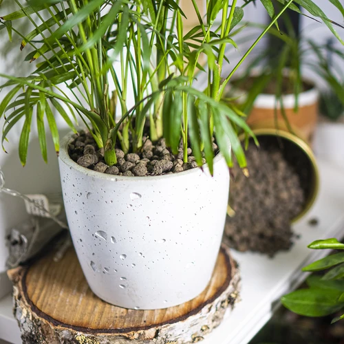 Argilă expandată pentru plante de ghiveci, grădinărit și păduri în sticlă 10–20 mm, 4L - 11