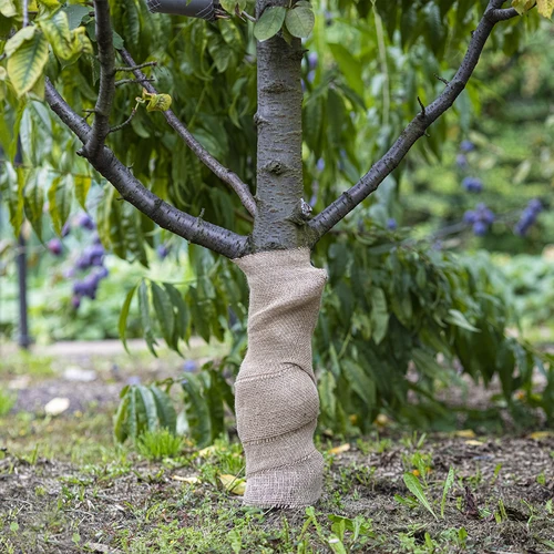 Bandă de iută 10 cm/5 m - 5