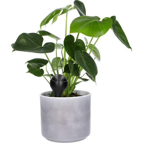 Bilă de irigare pentru plante, negru mat cu picior ceramic (în ambalaj) 400 ml - 8