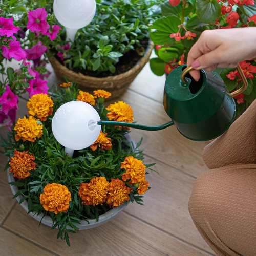 Bilă de udare pentru plante, alb mat cu picior ceramic, 400ml - 8