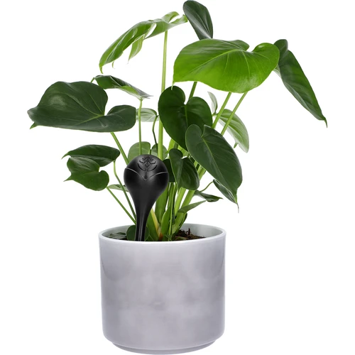 Bile de irigare pentru plante, negre mate, 400 ml, 4 buc. - 6