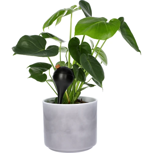 Bile de irigare pentru plante, negre mate, cu dop, 400ml, 4 buc. - 7