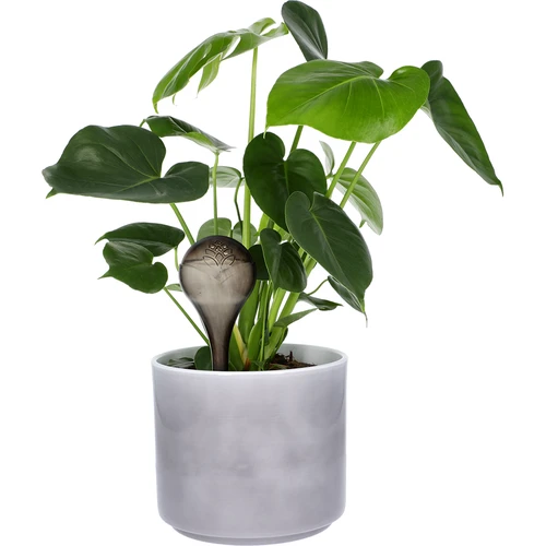Bile de irigare pentru plante, negre transparente, 400 ml, 2 buc. - 7