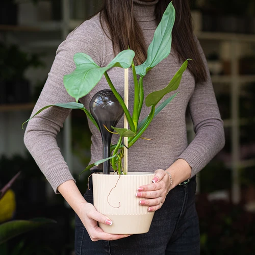 Bile de udare pentru plante, negre transparente, 400 ml, 4 buc. - 11