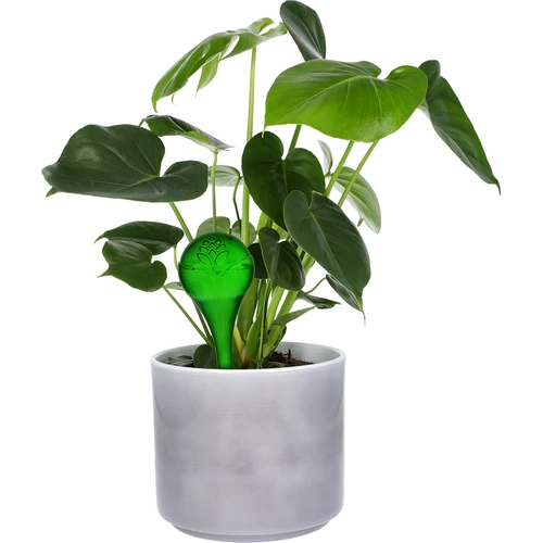 Bile de udare pentru plante, verzi transparente, 400 ml, 4 buc. - 6