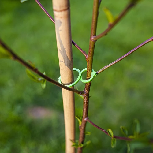 Cleme din plastic pentru prinderea plantelor, mix 50 buc. - 6