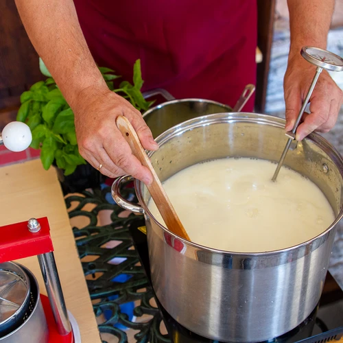 Clorură de calciu pentru brânză - 100 g - 7