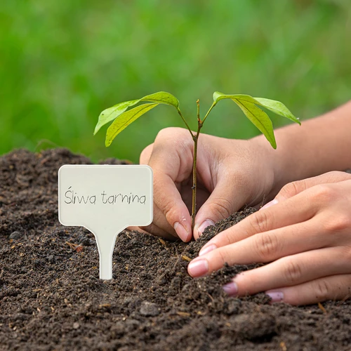 Etichete pentru descrierea plantelor + creion mix 10+20 buc. - 10