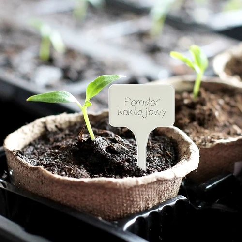Etichete pentru descrierea plantelor + creion mix 10+20 buc. - 11