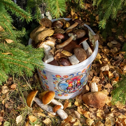 Găleată alimentară GWIOZDA - cu capac, 10 L - 10