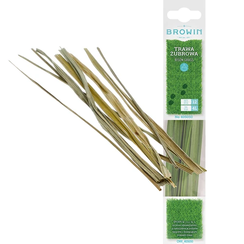 Iarbă de bison - Hierochloe odorata 12 buc. / 4 L