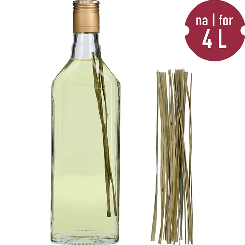 Iarbă de bison - Hierochloe odorata 12 buc. / 4 L - 3