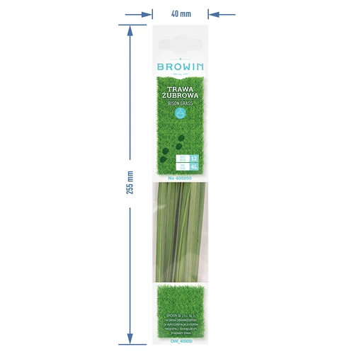 Iarbă de bison - Hierochloe odorata 12 buc. / 4 L - 7