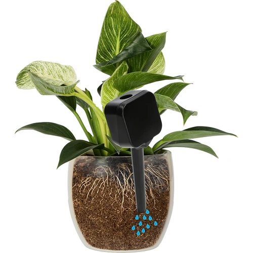 Irigator pentru plante – tablă neagră, 200 ml - 6