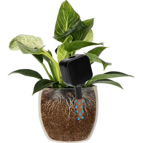 Irigator pentru plante – tablă neagră cu picior ceramic, 200 ml - 6