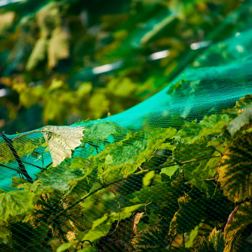 Plasă pentru protecția împotriva păsărilor, verde, 8 m x 14m - 5