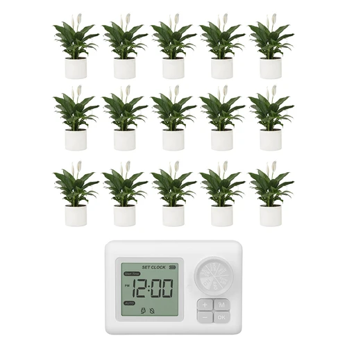 Sistem automat de udare pentru plante în ghiveci - 6