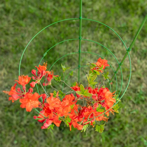 Suport inelar pentru plante 3 inele 0,7m - 4
