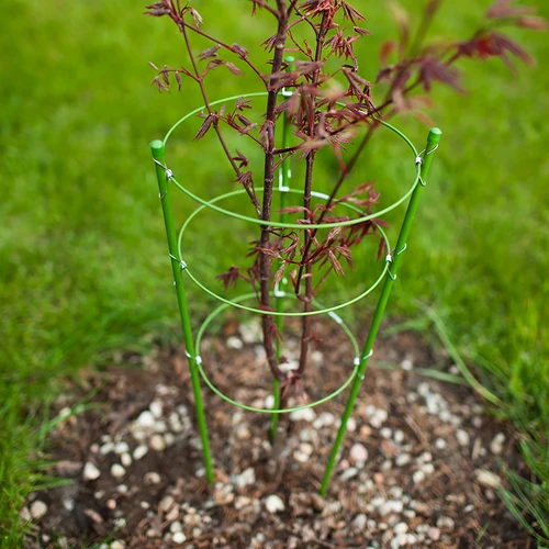 Suport inelar pentru plante 3 inele 1,5m - 3