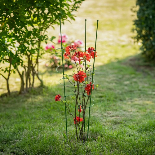 Suport inelar pentru plante 4 inele 1m - 3