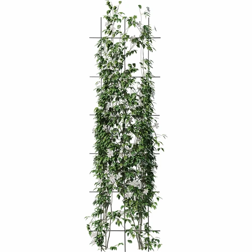 Suport pentru plante - grilaj de grădină 150 x 45cm - 3