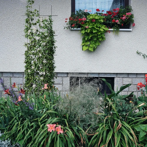 Suport pentru plante - grilaj de grădină 150 x 45cm - 4
