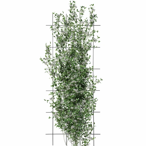 Suport pentru plante – grilaj de grădină 150 x 60cm - 3