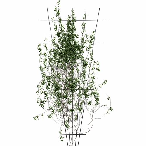 Suport pentru plante - grilaj de grădină îngustat 150 x 75cm - 3