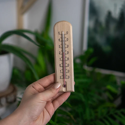 Termometru de cameră cu model (-20°C până la +50°C) 15cm - 4