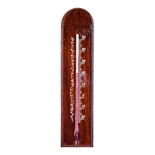 Termometru de cameră cu model (-20°C până la +50°C) 18cm mix