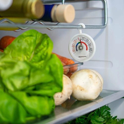 Termometru pentru frigidere și congelatoare (-35°C până la +45°C) Ø 5cm - 4