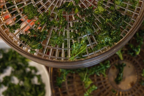 Chipsuri de kale