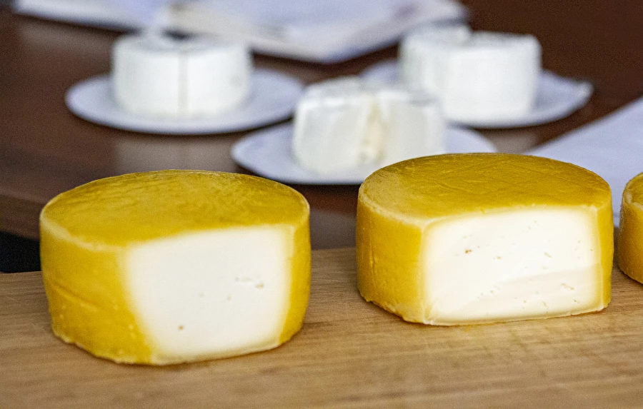 Browin Przepiśnik - Brânză galbenă de casă tip Gouda