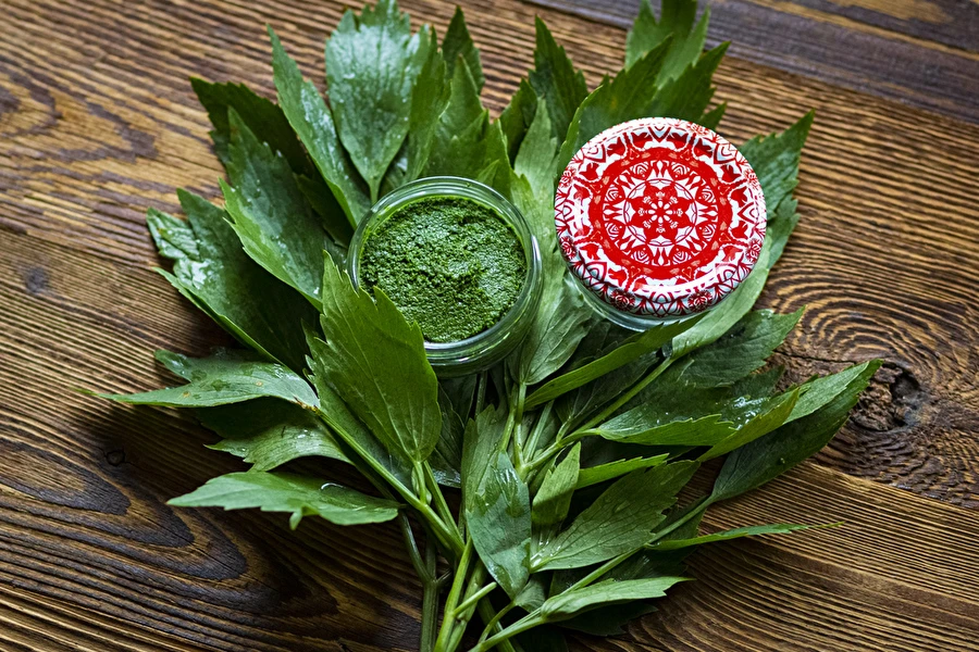 Pastă de leuștean — condiment MAGGI de casă